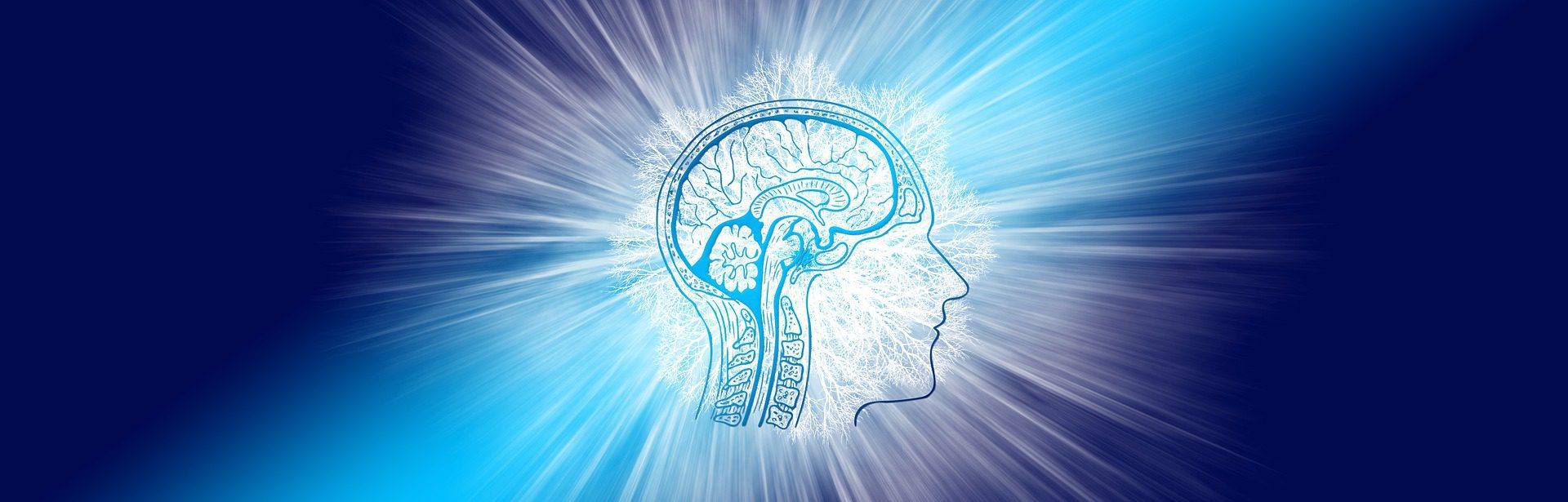 Image du site acmm